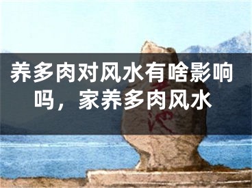 养多肉对风水有啥影响吗，家养多肉风水