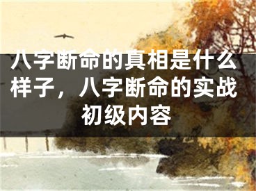 八字断命的真相是什么样子,八字断命的实战初级内容