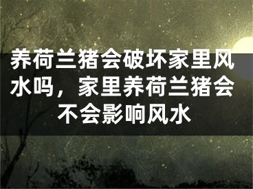 养荷兰猪会破坏家里风水吗，家里养荷兰猪会不会影响风水