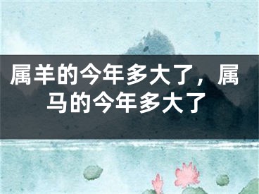 属羊的今年多大了，属马的今年多大了