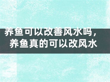 养鱼可以改善风水吗，养鱼真的可以改风水