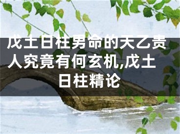 戊土日柱男命的天乙贵人究竟有何玄机,戊土日柱精论