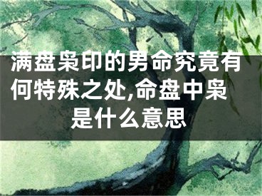满盘枭印的男命究竟有何特殊之处,命盘中枭是什么意思