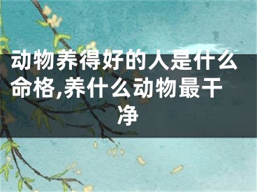 动物养得好的人是什么命格,养什么动物最干净