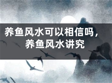 养鱼风水可以相信吗，养鱼风水讲究