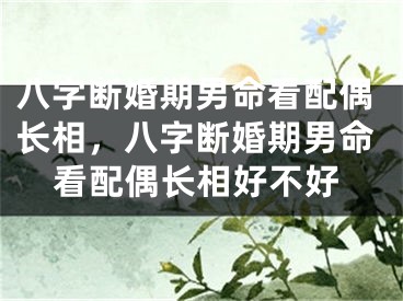 八字断婚期男命看配偶长相,八字断婚期男命看配偶长相好不好