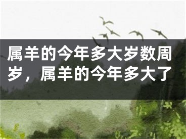 属羊的今年多大岁数周岁,属羊的今年多大了