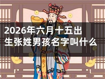 2026年六月十五出生张姓男孩名字叫什么