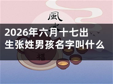 2026年六月十七出生张姓男孩名字叫什么