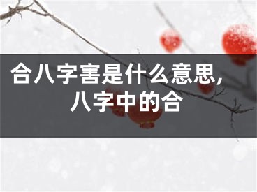 合八字害是什么意思,八字中的合