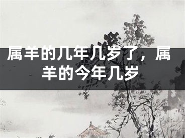 属羊的几年几岁了，属羊的今年几岁