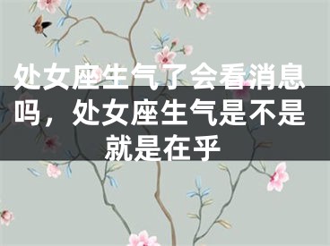 处女座生气了会看消息吗,处女座生气是不是就是在乎