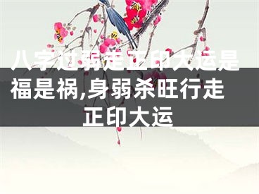 八字过弱走正印大运是福是祸,身弱杀旺行走正印大运
