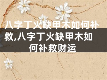 八字丁火缺甲木如何补救,八字丁火缺甲木如何补救财运