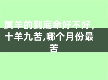 属羊的到底命好不好,十羊九苦,哪个月份最苦