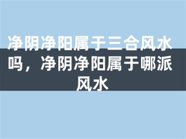 净阴净阳属于三合风水吗，净阴净阳属于哪派风水