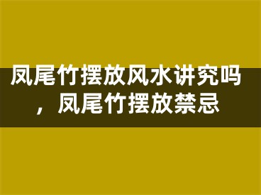 凤尾竹摆放风水讲究吗，凤尾竹摆放禁忌