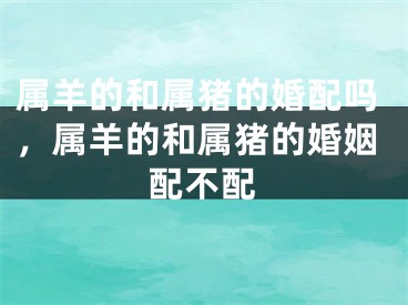属羊的和属猪的婚配吗，属羊的和属猪的婚姻配不配