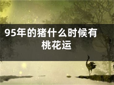 95年的猪什么时候有桃花运