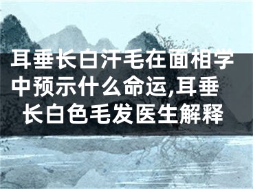 耳垂长白汗毛在面相学中预示什么命运,耳垂长白色毛发医生解释