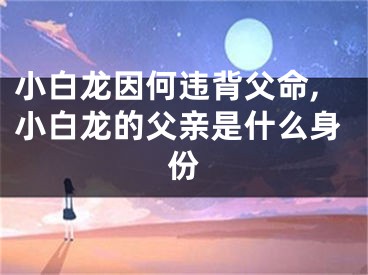 小白龙因何违背父命,小白龙的父亲是什么身份