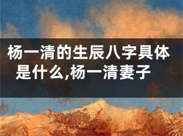 杨一清的生辰八字具体是什么,杨一清妻子