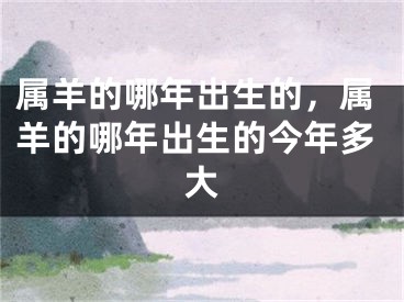 属羊的哪年出生的，属羊的哪年出生的今年多大