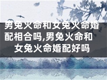 男兔火命和女兔火命婚配相合吗,男兔火命和女兔火命婚配好吗