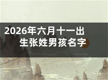 2026年六月十一出生张姓男孩名字