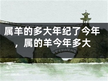 属羊的多大年纪了今年，属的羊今年多大
