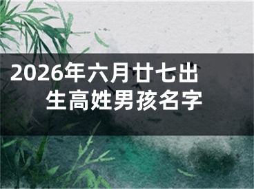 2026年六月廿七出生高姓男孩名字
