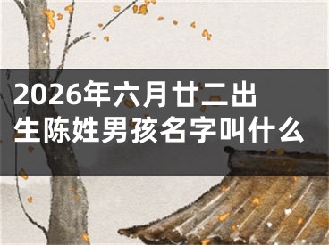 2026年六月廿二出生陈姓男孩名字叫什么