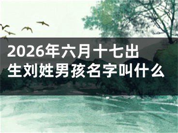 2026年六月十七出生刘姓男孩名字叫什么