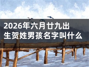 2026年六月廿九出生贺姓男孩名字叫什么