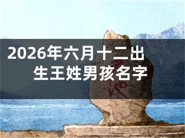 2026年六月十二出生王姓男孩名字