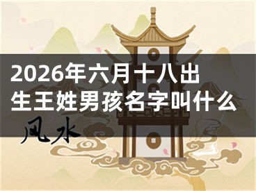 2026年六月十八出生王姓男孩名字叫什么