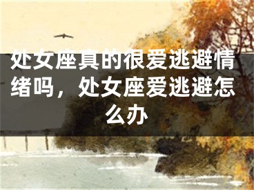 处女座真的很爱逃避情绪吗,处女座爱逃避怎么办