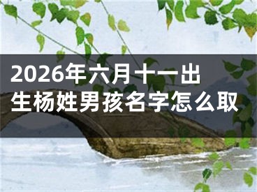 2026年六月十一出生杨姓男孩名字怎么取