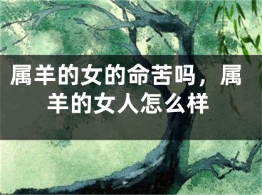 属羊的女的命苦吗，属羊的女人怎么样