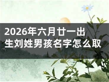 2026年六月廿一出生刘姓男孩名字怎么取