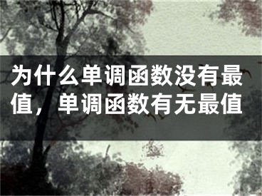 为什么单调函数没有最值，单调函数有无最值