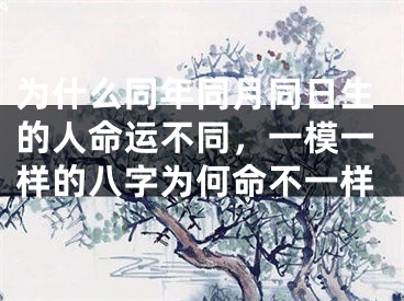 为什么同年同月同日生的人命运不同,一模一样的八字为何命不一样