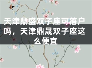 天津鼎盛双子座可落户吗，天津鼎晟双子座这么便宜