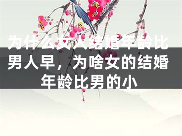 为什么女人结婚年龄比男人早，为啥女的结婚年龄比男的小