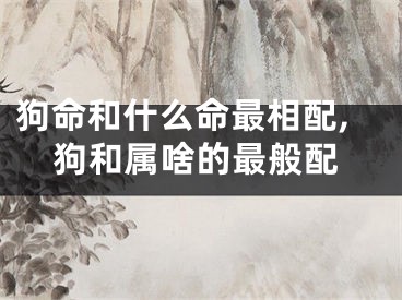 狗命和什么命最相配,狗和属啥的最般配