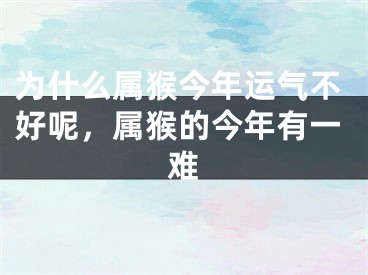 为什么属猴今年运气不好呢,属猴的今年有一难
