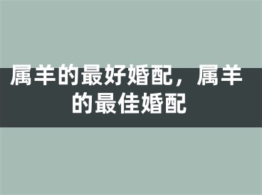 属羊的最好婚配，属羊的最佳婚配