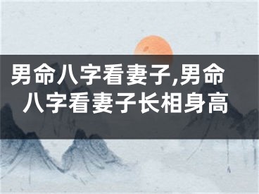 男命八字看妻子,男命八字看妻子长相身高