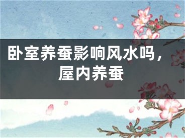 卧室养蚕影响风水吗，屋内养蚕