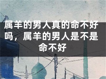 属羊的男人真的命不好吗，属羊的男人是不是命不好